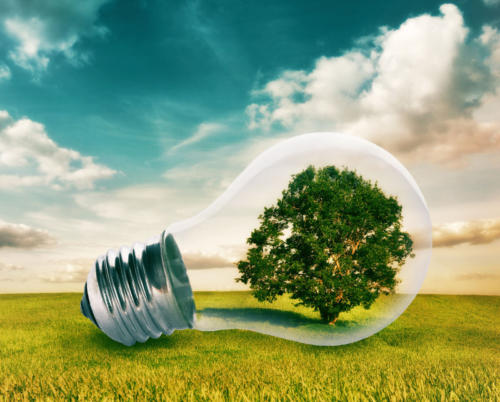 Light bulb with a tree growing inside in green field. Environment, eco technology and energy concept.